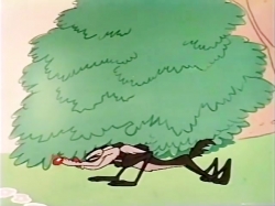 کایوت و رودرانر (فصل 3 - قسمت 10)